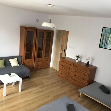 Apartament “Jasny” Nad Wisla Добжикув Экстерьер фото