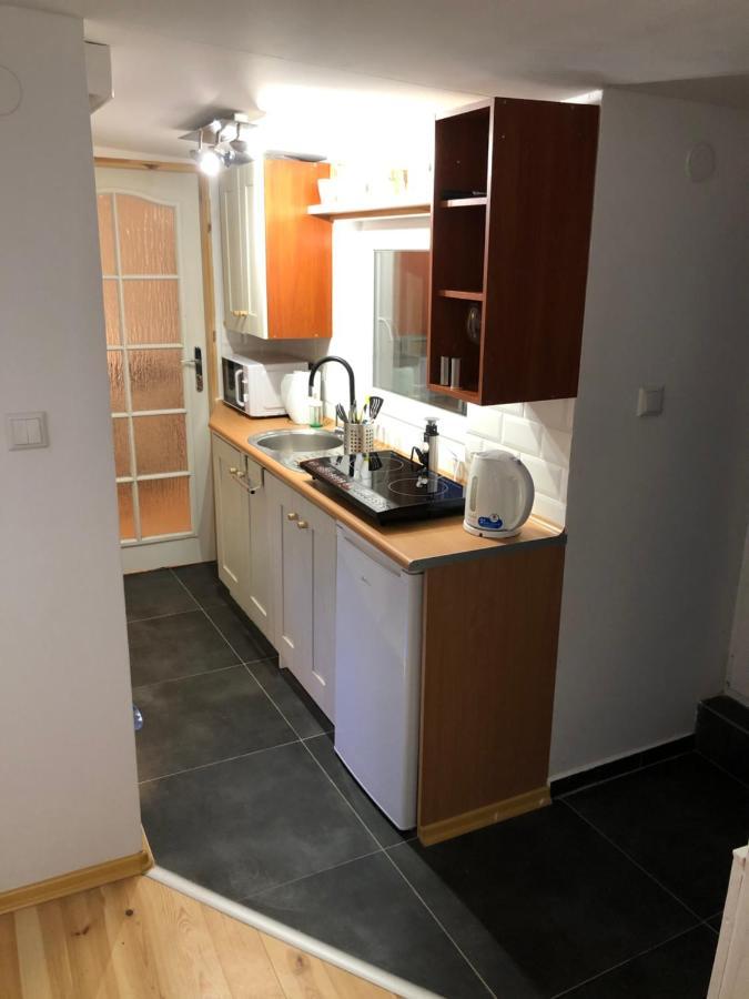 Apartament “Jasny” Nad Wisla Добжикув Экстерьер фото