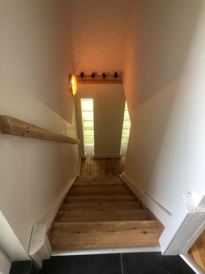 Apartament “Jasny” Nad Wisla Добжикув Экстерьер фото