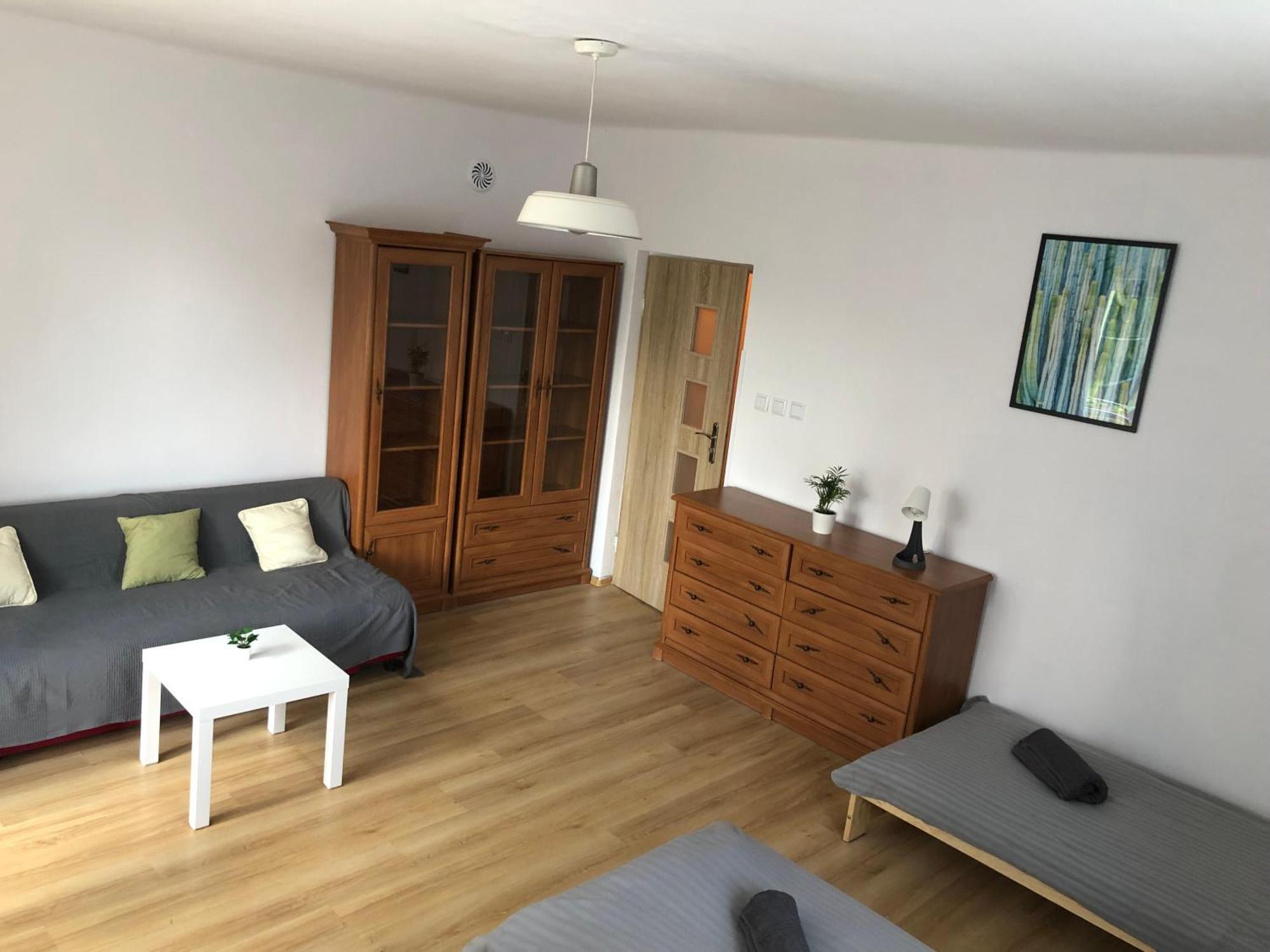 Apartament “Jasny” Nad Wisla Добжикув Экстерьер фото